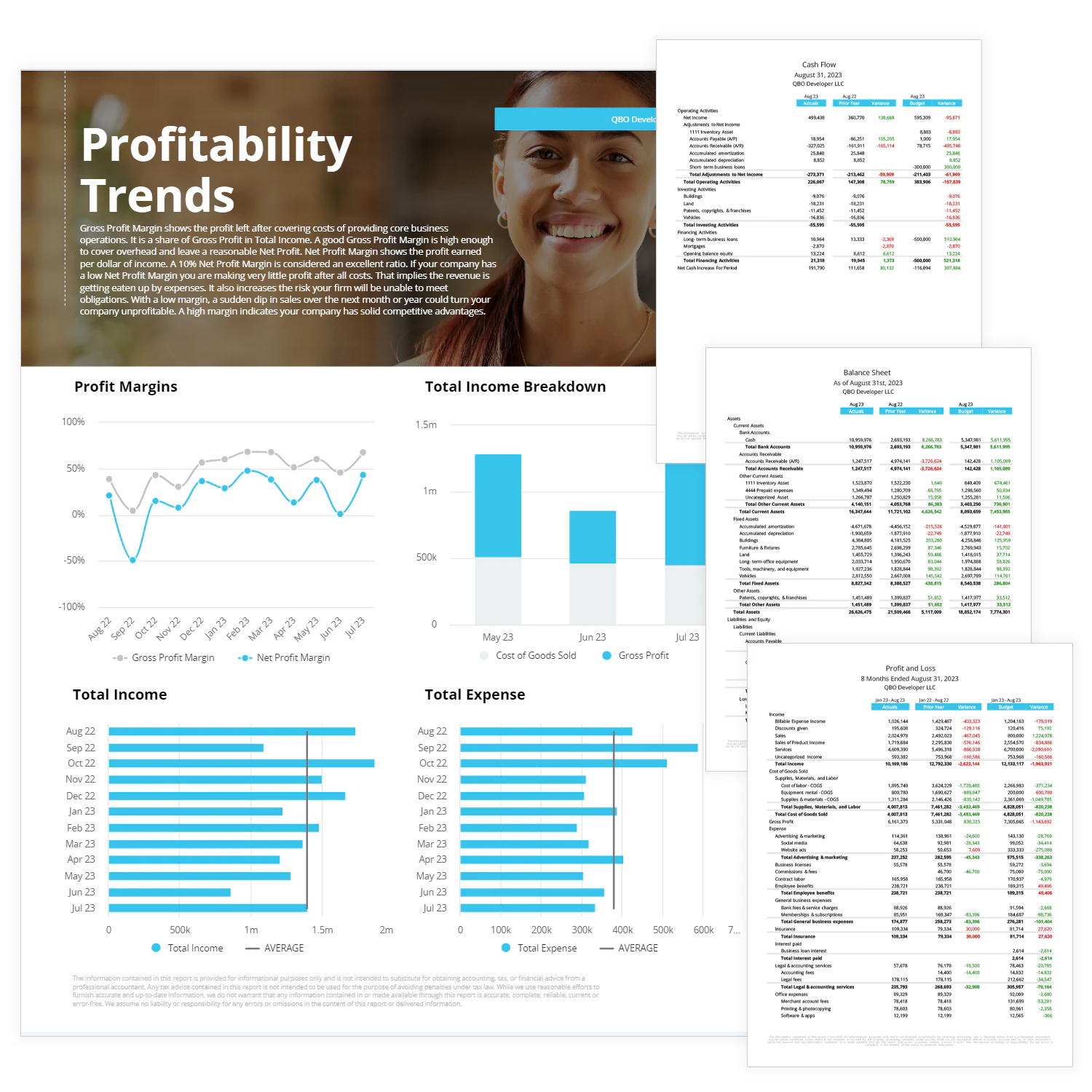 screenshot of Reach Reporting